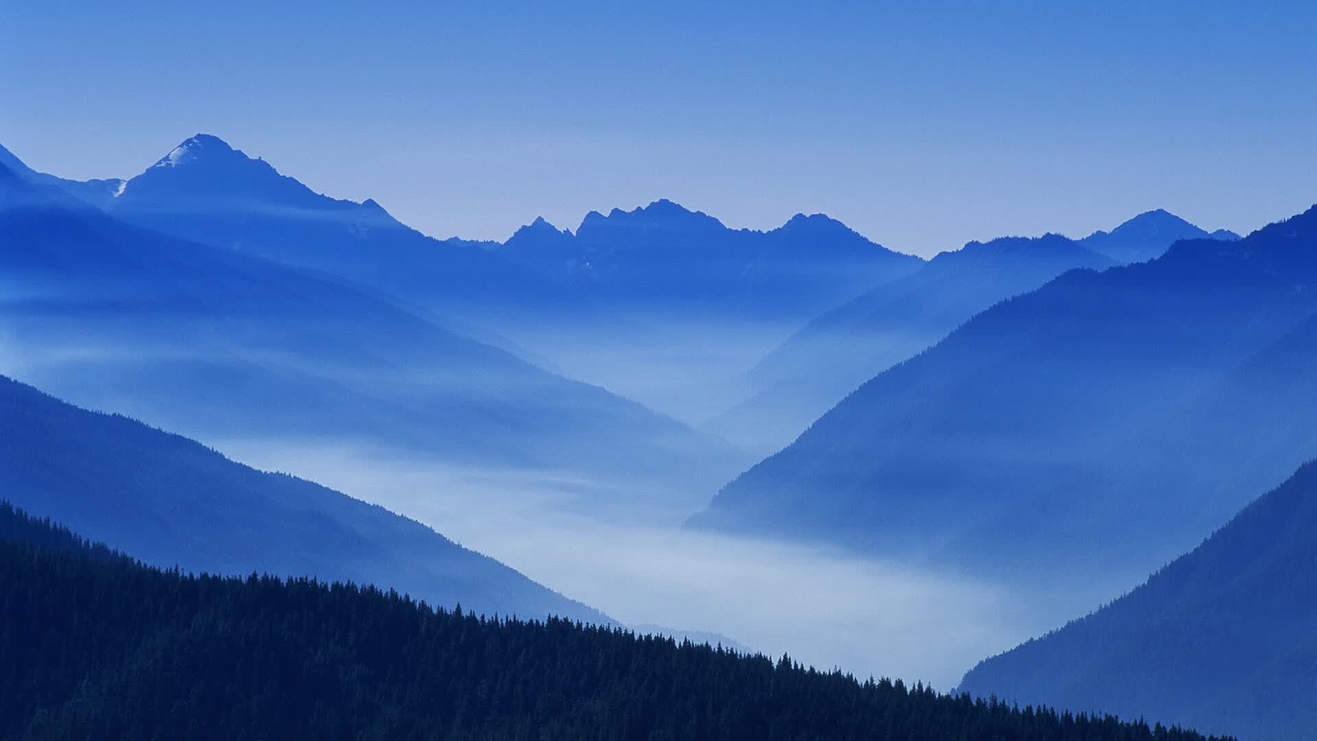 G组欧陆红魔遭遇非洲力量:比利时vs埃及法老后防线出球盲区长传冲吊推演